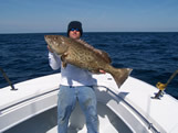 30lb gag grouper caught 50 miles of oak island nc